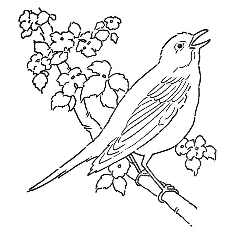Coloring Pages Flowers And Birds State Birds And Flowers Coloring ...