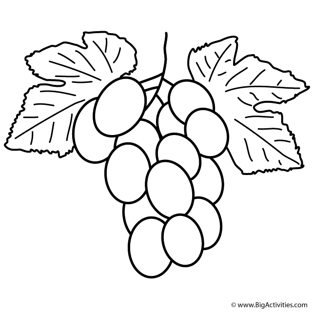 Download Grape Coloring Pages - Coloring Home