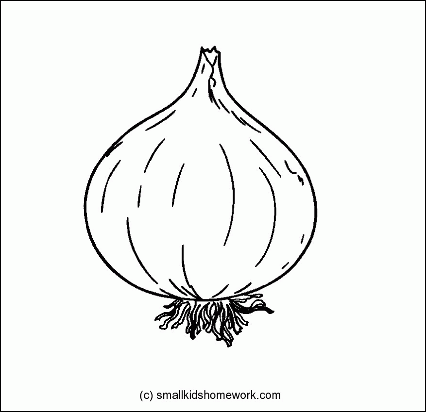 Free Pictures Of Onions, Download Free Clip Art, Free Clip Art on Clipart  Library