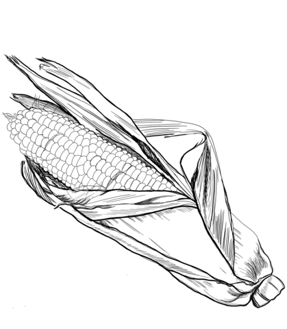 Corn coloring page | Free Printable Coloring Pages