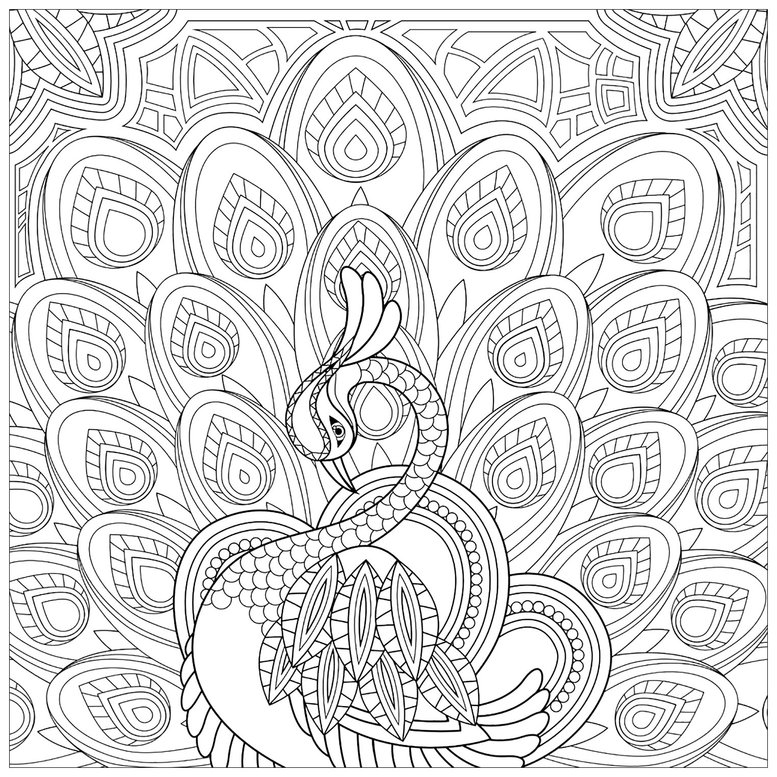 Coloring Pages  Peacocks Free To Color For Children Kids Coloring ...
