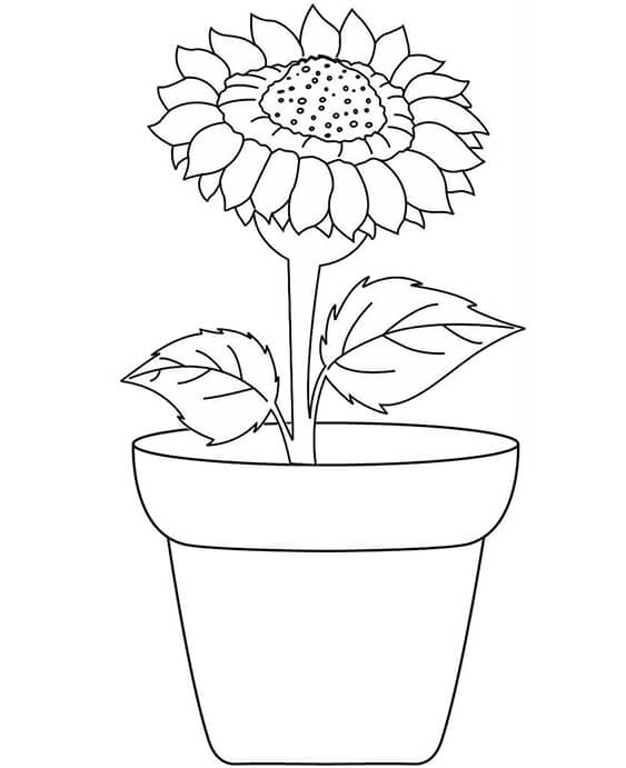 Free & Easy To Print Flower Coloring Pages - Tulamama