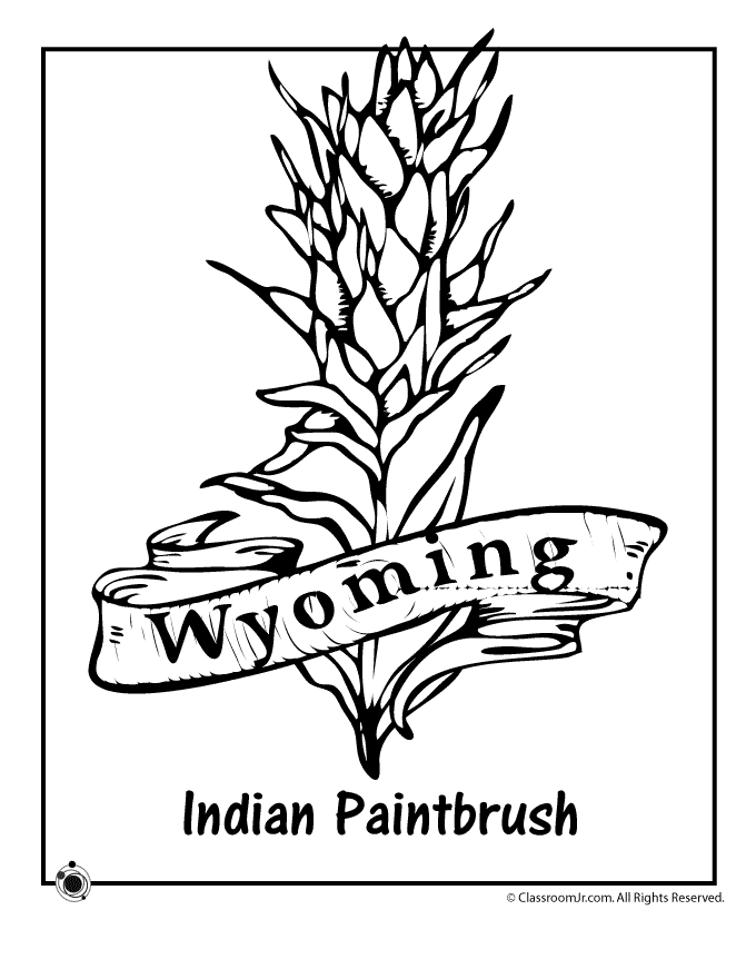 Wyoming State Flower Coloring Page | Woo! Jr. Kids Activities : Children's  Publishing