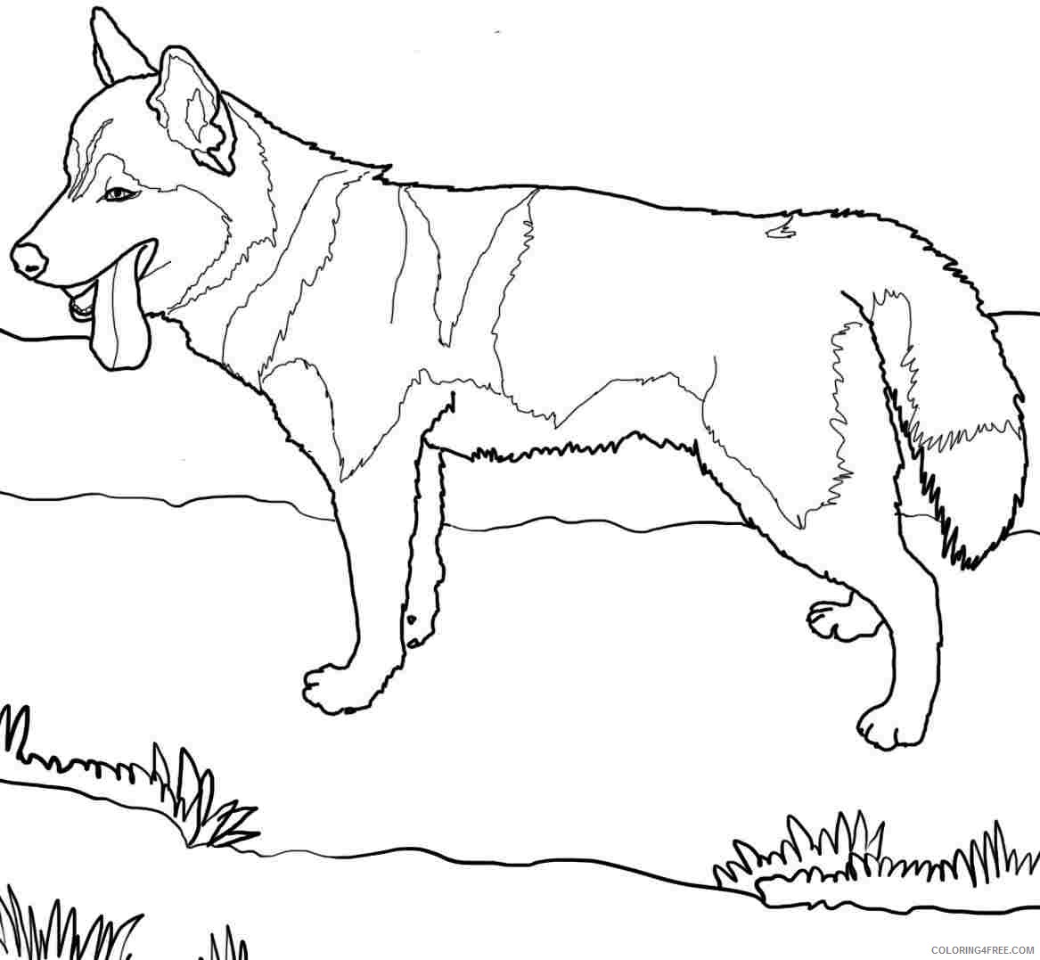 huskies-coloring-pages-coloring-home