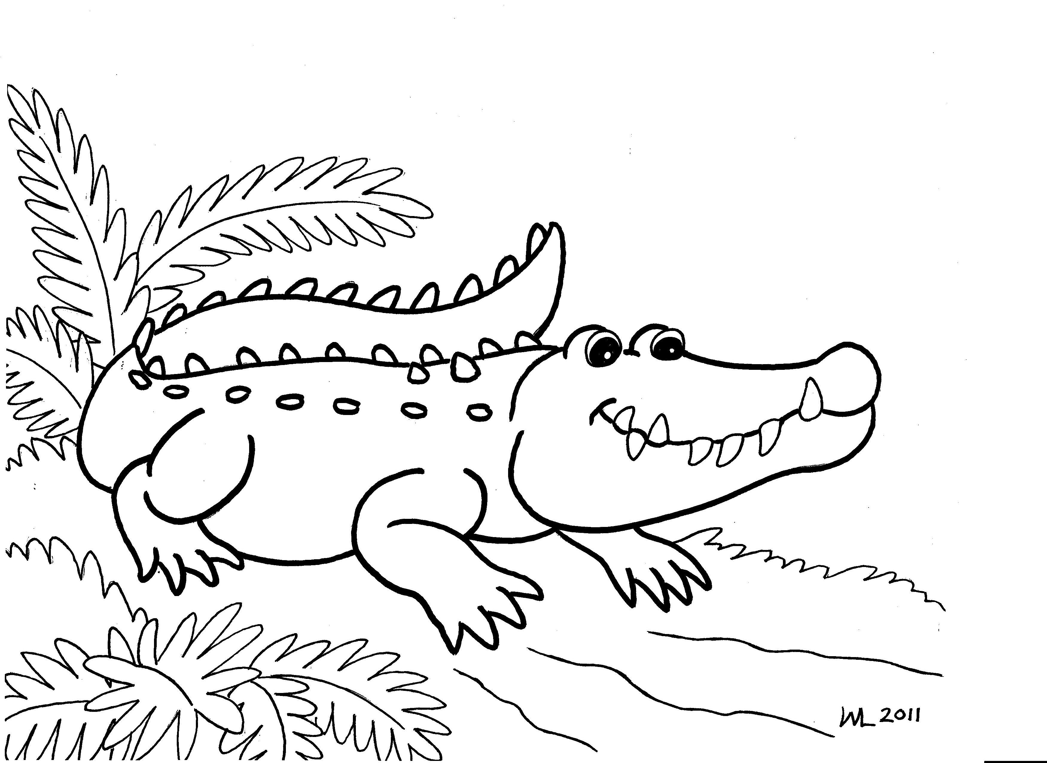 Alligators Coloring Pages   Coloring Home