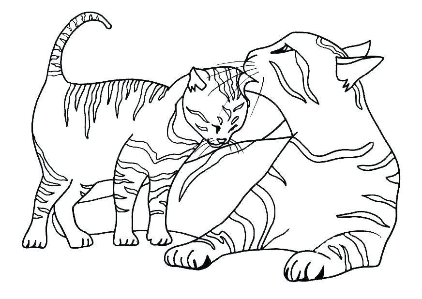 wild cat coloring pages a4190 wild cats coloring pages wildcat coloring  page wildcats wild cats wild … | Cat coloring page, Animal coloring pages,  Dog coloring page