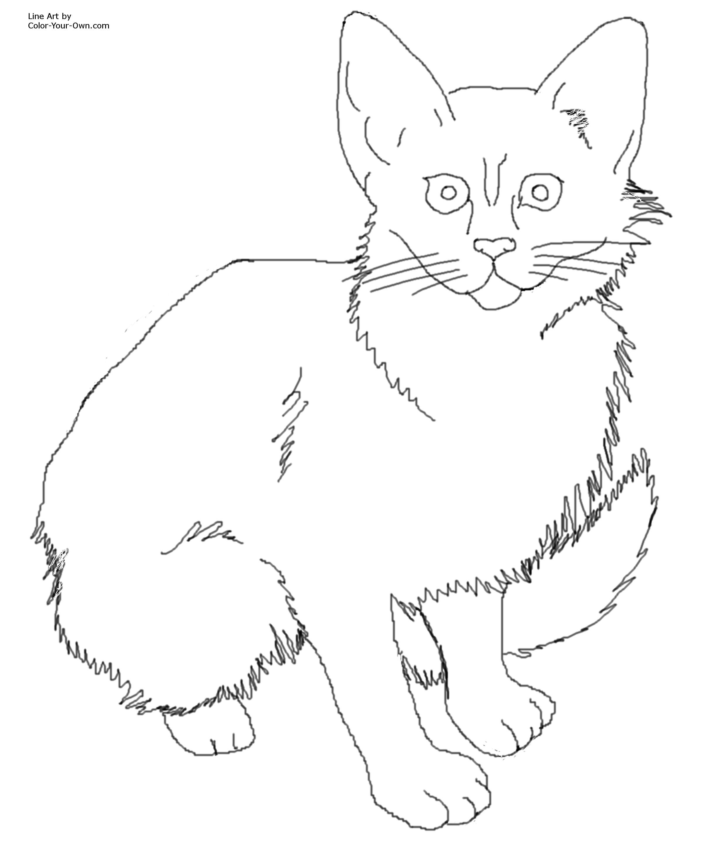 Free Coloring Pages Kitten Cats - Coloring Page