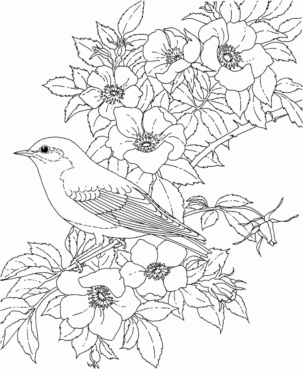 Color Pages Of Flowers Printable Coloring Pages Coloring Pages ...