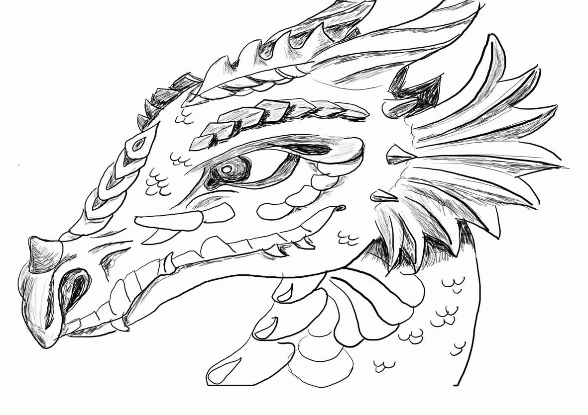 Rehearsal Realistic Dragon Coloring Pages For Adults Only Coloring ...