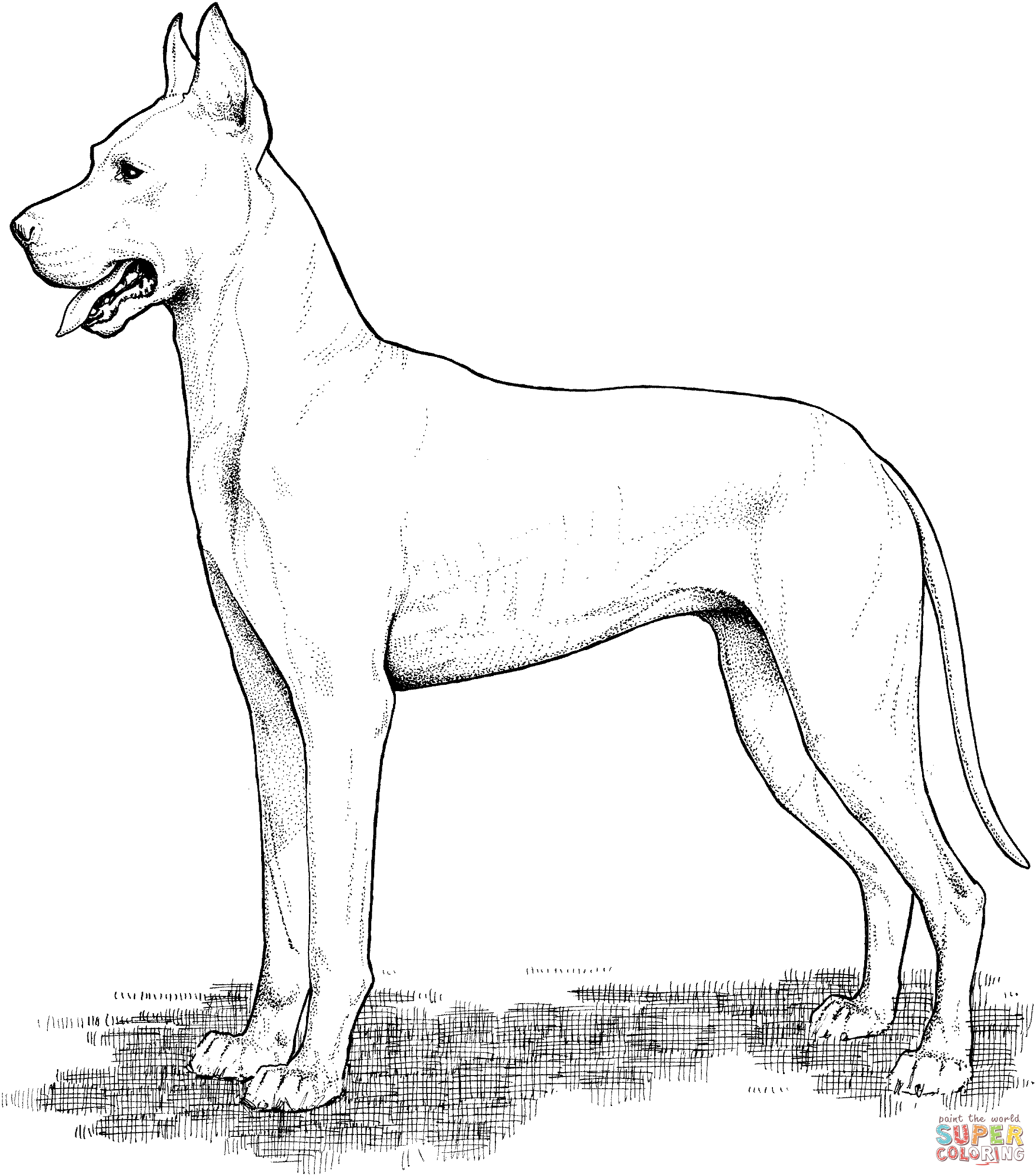 Download Great Dane Dog Coloring Pages Coloring Home
