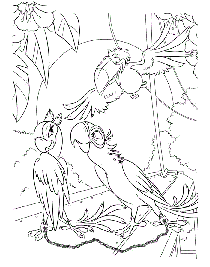 Angry Birds RIO Coloring Pages
