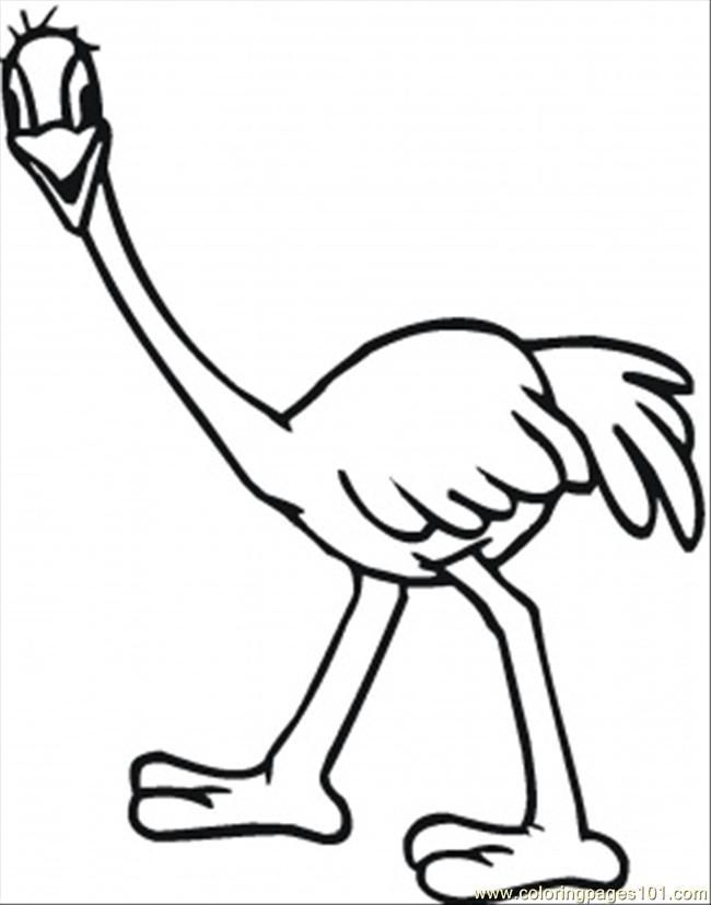 cute ostrich Colouring Pages