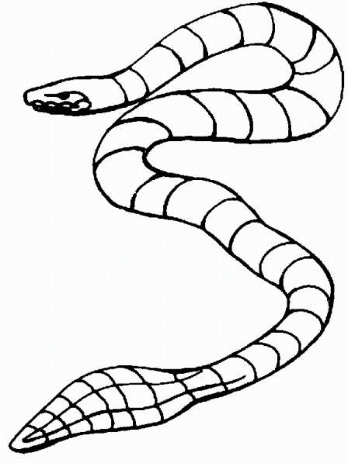 Sea Snake Coloring Pages