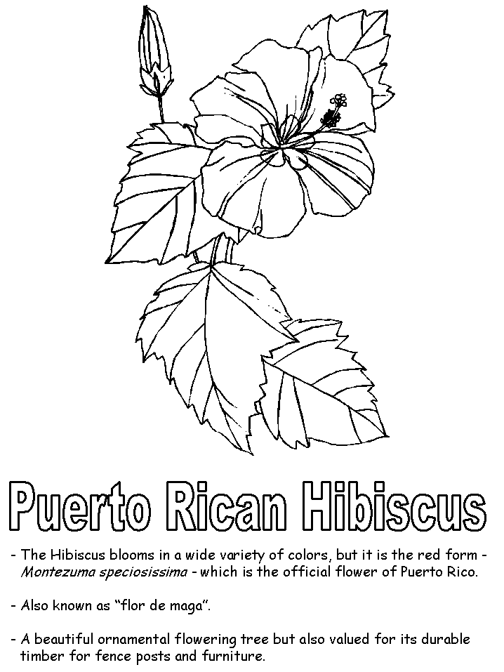 of puerto rico Colouring Pages (page 2)