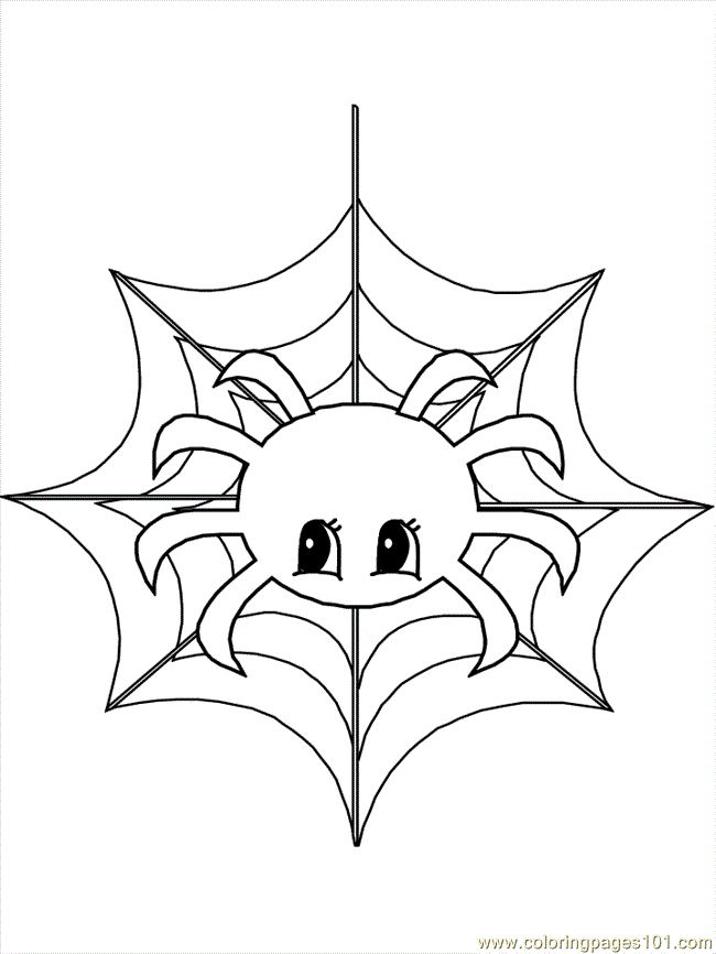 Coloring Pages Spider Coloring 11 (Animals > Others) - free 