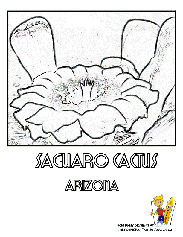 cactus flower Colouring Pages (page 3)