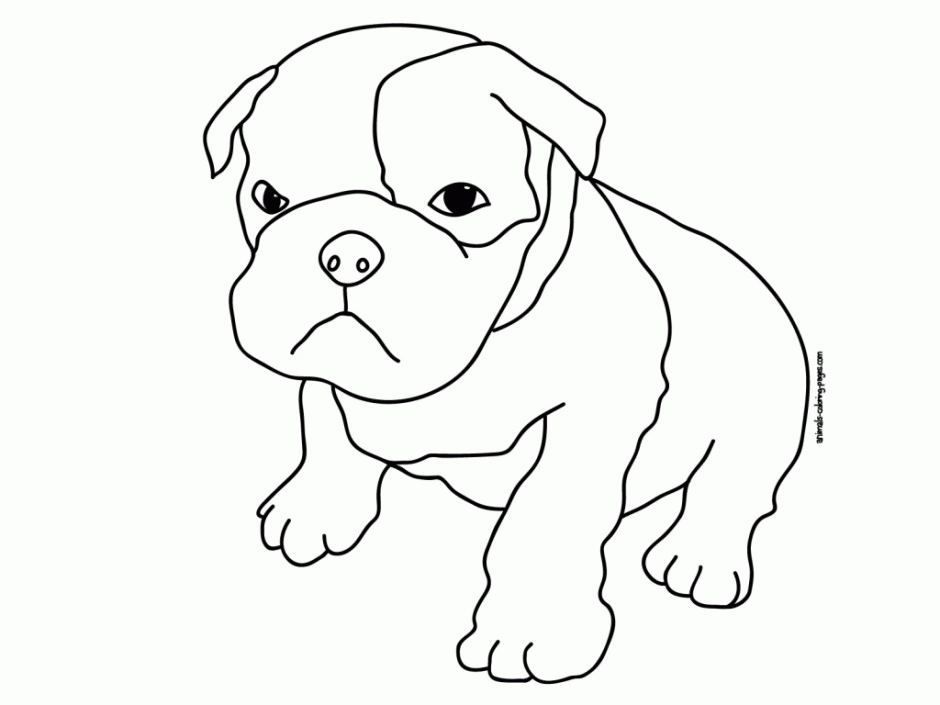 Coloring Page Boxer Puppy Hagio Graphic 129648 Realistic Puppy 