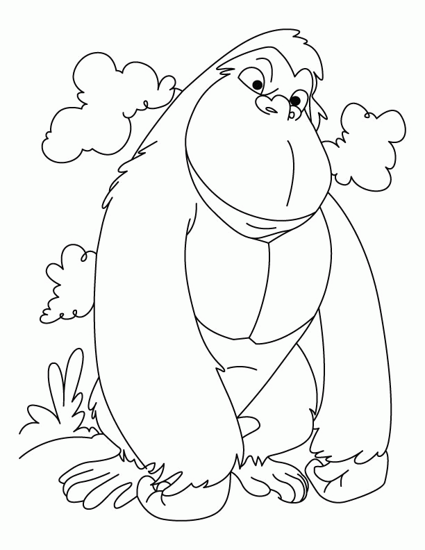 gorilla coloring pages winner
