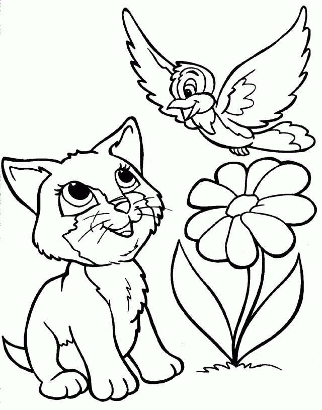 Cat Coloring Pages 42 260949 High Definition Wallpapers Wallalay 