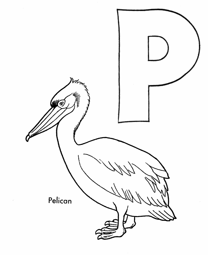 ABC Alphabet Coloring Sheets - P is for Pelican | HonkingDonkey