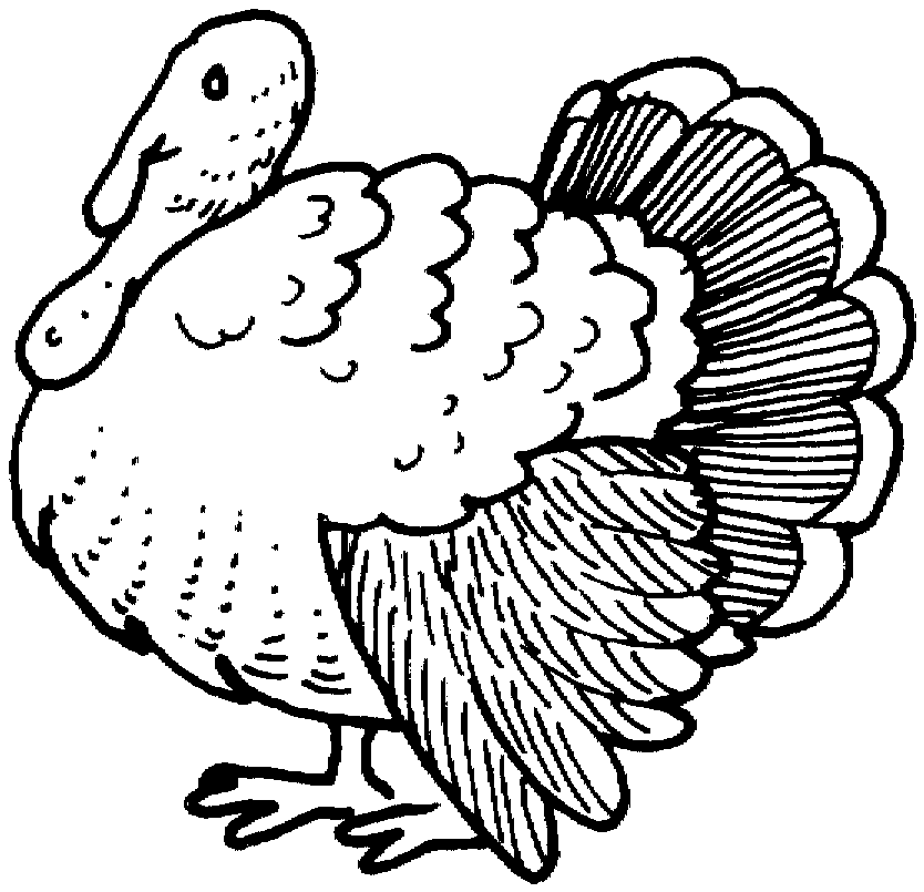 Search Results » Turkey Body Coloring Page