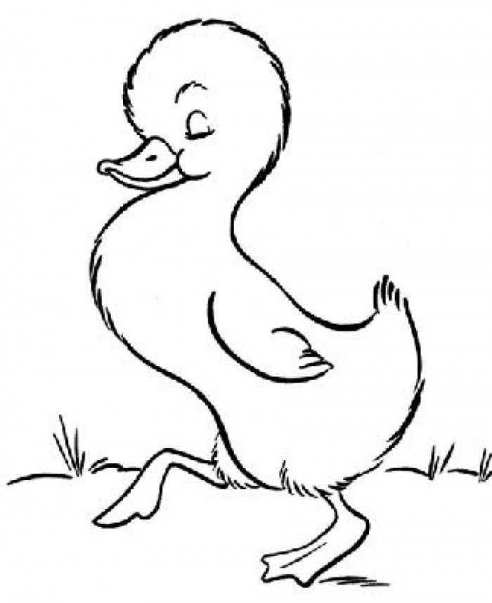 Webkinz Duck Coloring Pages