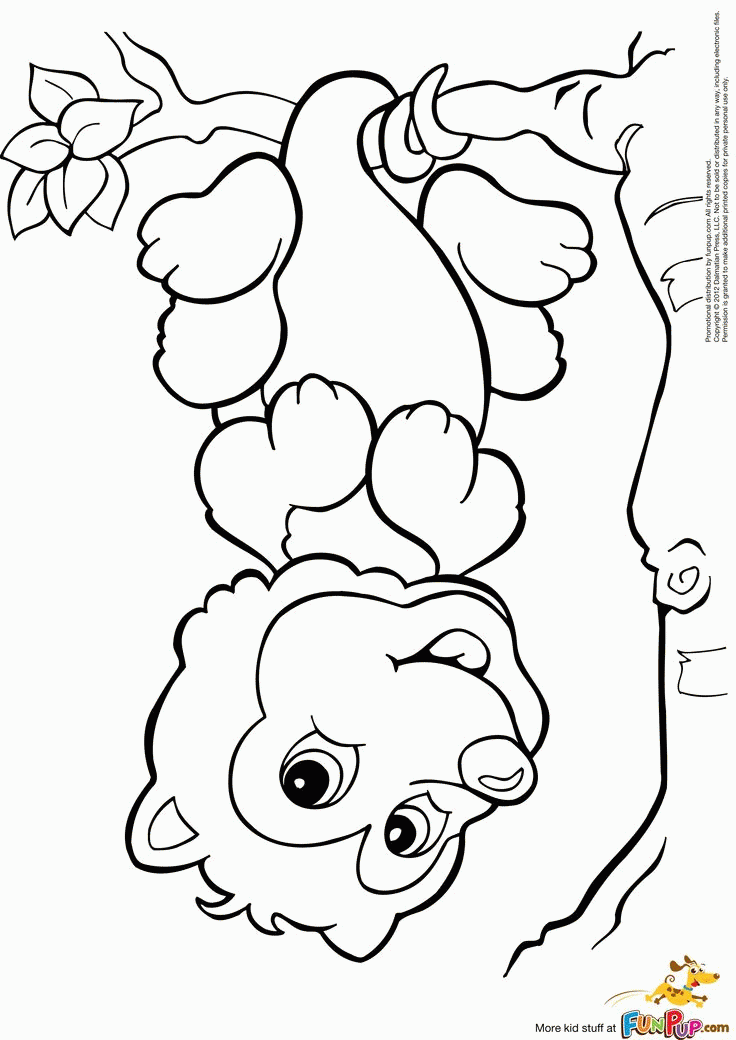 Possum Coloring Page | Free Printable Coloring Pages
