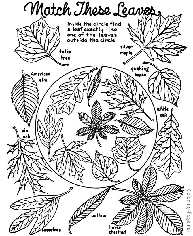 autumn-leaves-coloring-pages-leaves-coloring-fall-printable-horacio