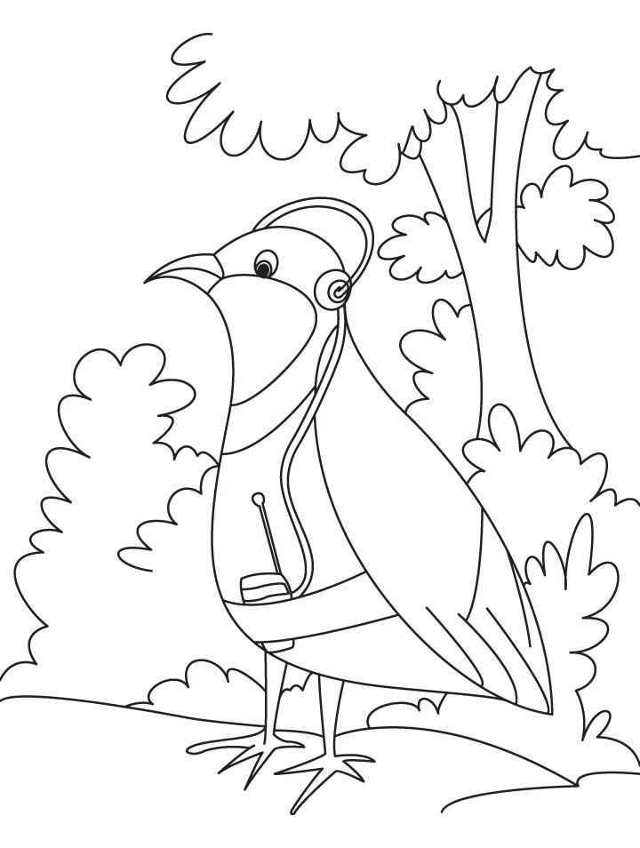 A happy partridge listening to music coloring page | Download Free 