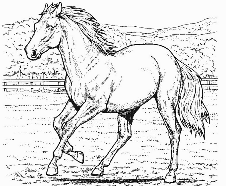 Horse Coloring Pages - Dr. Odd
