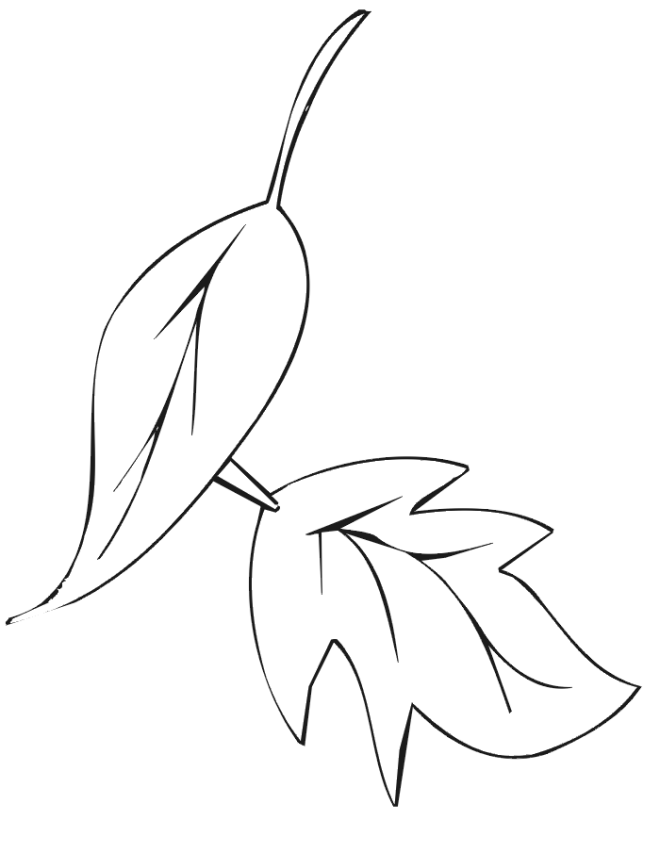 autumn leaves coloring page printable pages pic