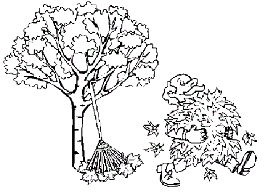 autumn leaves collection fall coloring pages