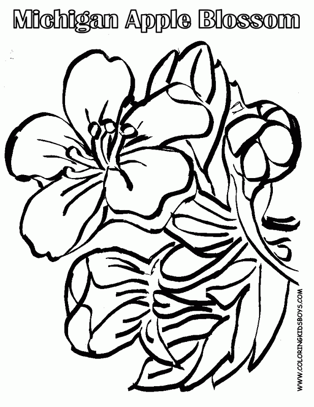 Black And White Flower Coloring Pages | Top Coloring Pages