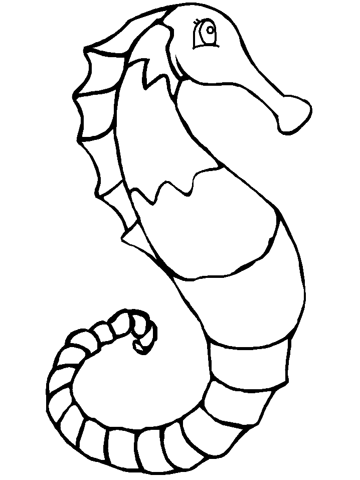 Ocean Seahorse2 Animals Coloring Pages & Coloring Book