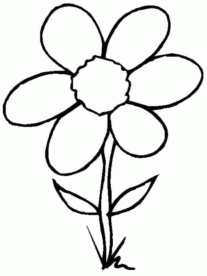 Printable Free Flowers Coloring Sheets For Kids & Boys 20312#