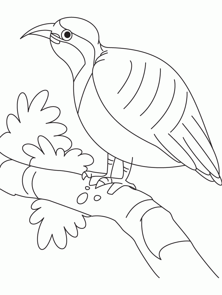 Resting beautiful partridge coloring page | Download Free Resting 