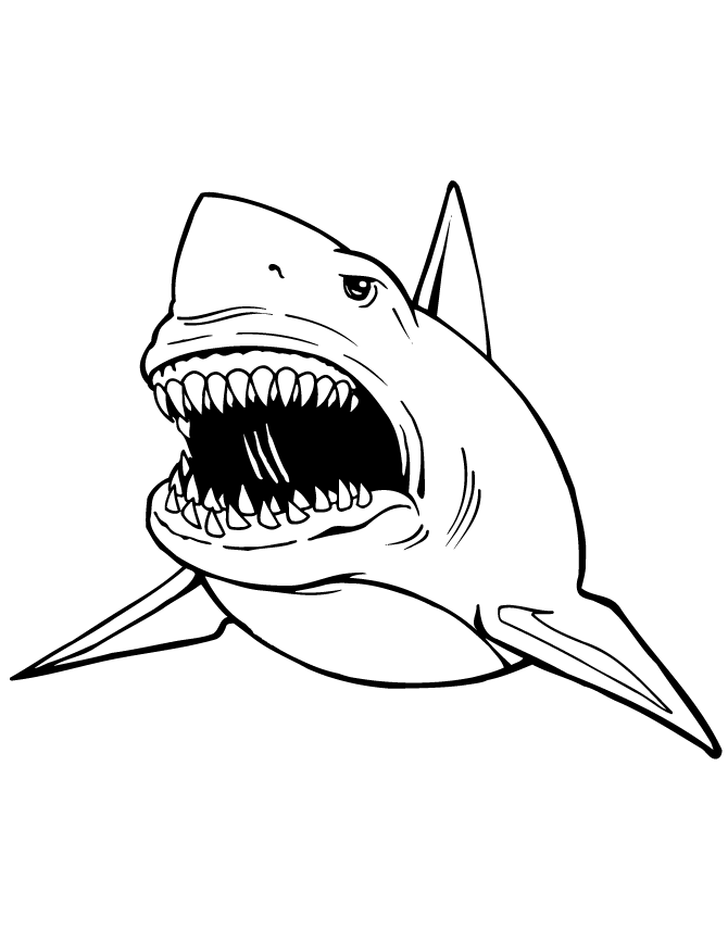 Printable Shark Coloring Pages - Coloring Home