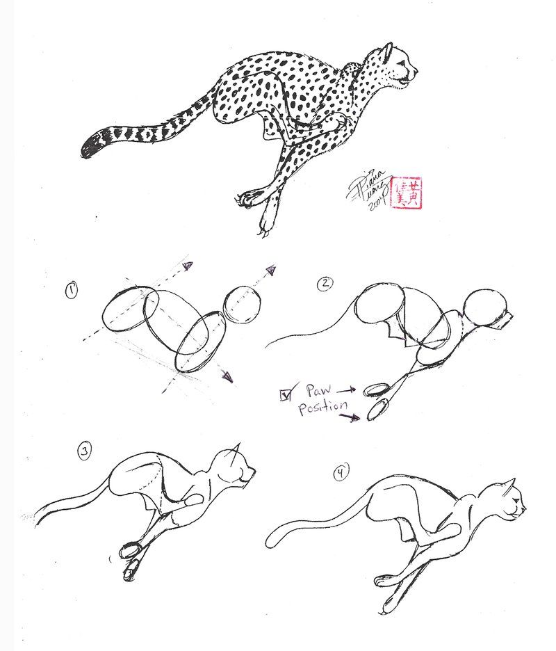 Cheetah Drawing Easy For Kids / Learn How to Draw a Cartoon Cheetah