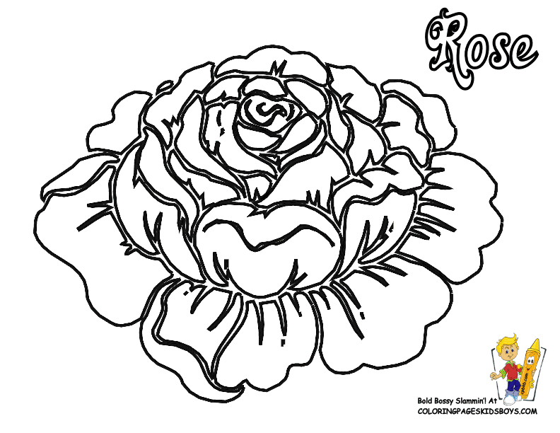 Rose Flowers Coloring Pages | Free| YesColoring | Rose Coloring ...