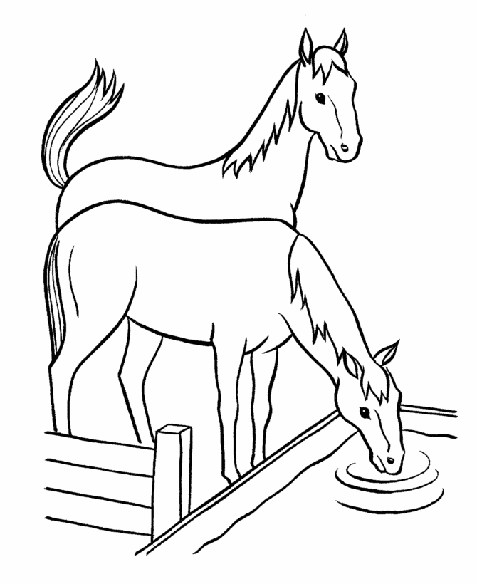 Horse Colouring Pictures