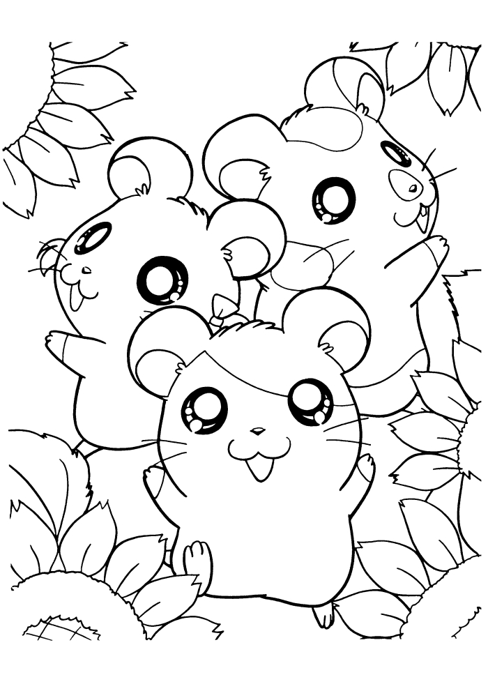 Hamster Coloring Pages Pictures Free Download - Tinamaze.com