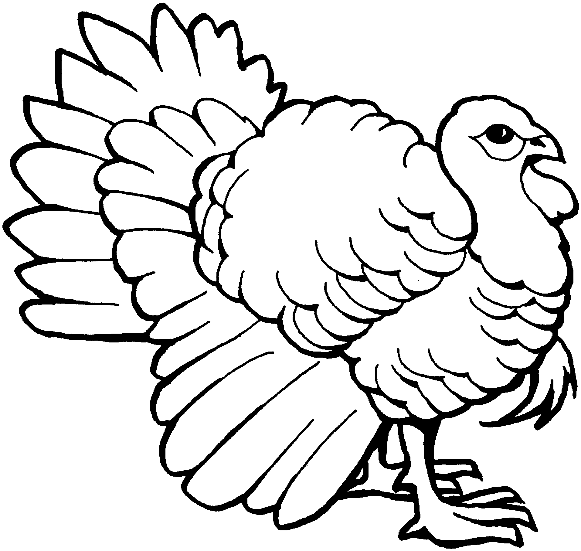 Turkey Outline Coloring Home