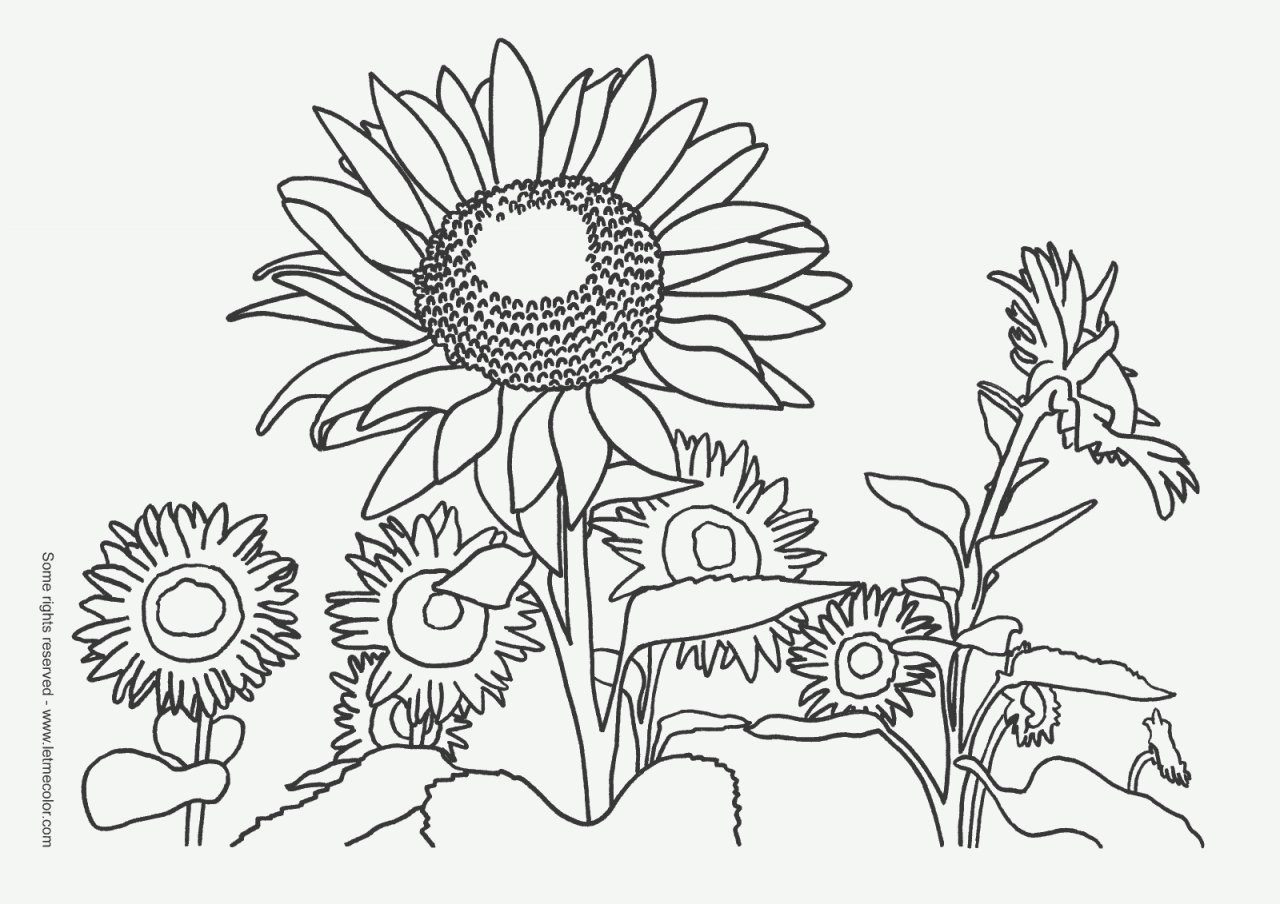 Download Printable Nature Coloring Pages For Kids Coloring Page For ...