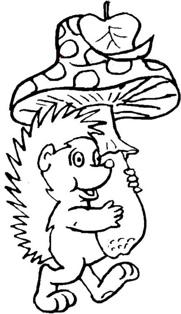 Hedgehog Bring Mushroom to Home Colouring Pages | Bulk Color
