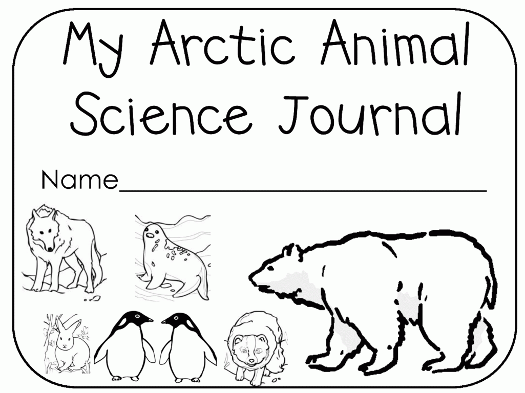 Free Printable Arctic Animals Coloring Pages   High Quality ...