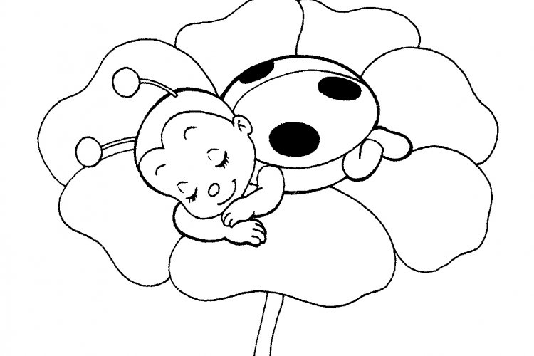 11 Printable Ladybug Coloring Pages For Free