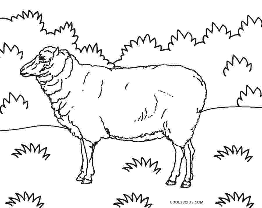 free coloring pages of sheep free printable sheep coloring ...