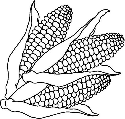 Vegetables coloring pages | Crafts and Worksheets for Preschool,Toddler and  Kindergarten | Free coloring pages, Vegetable coloring pages, Coloring pages