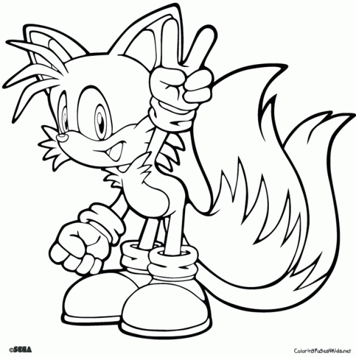 Step by Step to Color Sonic The Hedgehog Coloring Pages ...