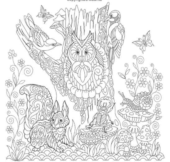 Stress Relieving Zentangle Coloring - 60 Animal Zentangle Pages For Calm  and Peace - Repartee Books Ltd